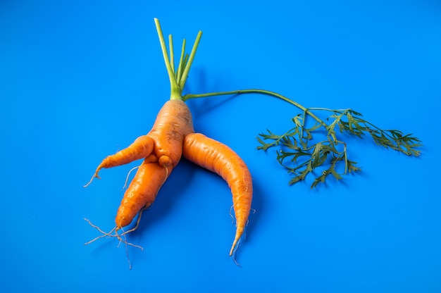 Ungewöhnlich geformte Karotten-Draufsicht