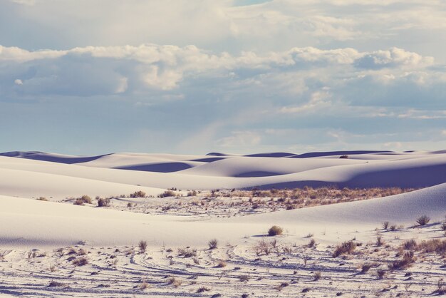 Ungewöhnliche weiße Sanddünen am White Sands National Monument, New Mexico, USA