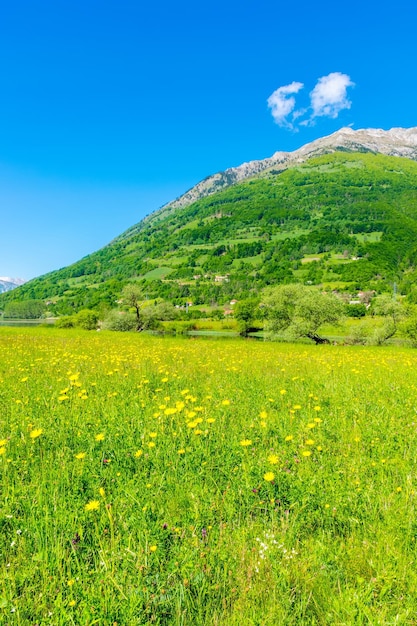 Ungewöhnlicher Plavsee inmitten der malerischen Berggipfel Montenegros