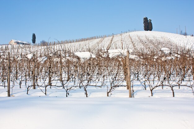 Ungewöhnliches Bild eines Weinguts in der Toskana (Italien) im Winter