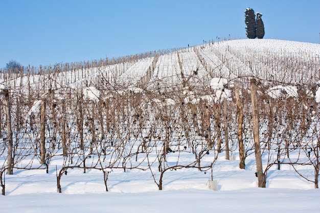 Ungewöhnliches Bild eines Weinguts in der Toskana (Italien) im Winter