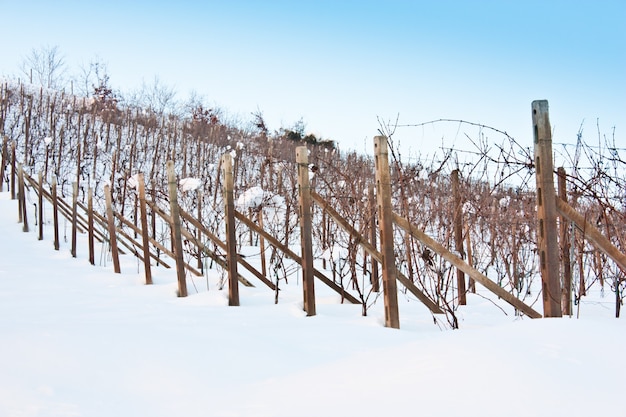 Ungewöhnliches Bild eines Weinguts in der Toskana (Italien) im Winter