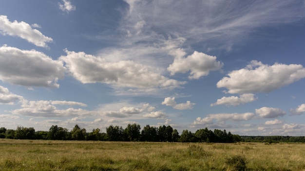 Unglaublich schöne Luftwolken über dem Feld, Sommertag