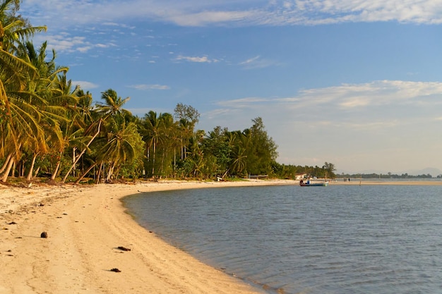 Unglaublicher Sandstrand am Meer Mit Palmen und ohne Menschen Sonnenuntergangsfoto