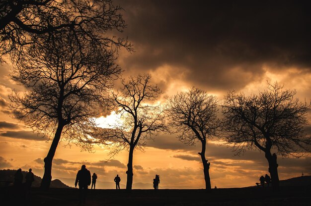 Unheimliche Landschaft der Silhouetten von Menschen in der Nähe von kahlen Bäumen mit schweren Wolken am Himmel