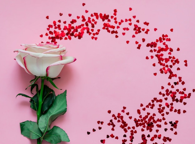 Foto Única flor rosa com corações holográficas no fundo rosa com lugar para texto