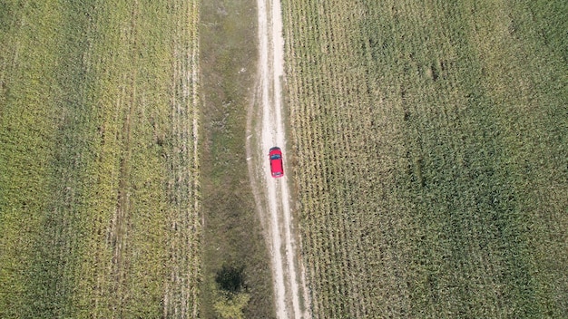 Unidades de automóviles en la carretera entre dos grandes campos con paisaje agrícola de trigo verde