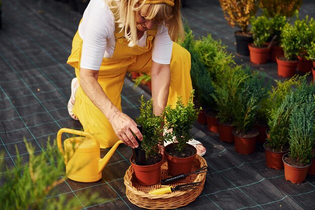 En uniforme de color amarillo, la mujer mayor está en el jardín durante el día Concepción de plantas y estaciones