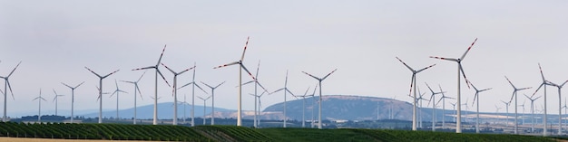 Universelles Linkedin-Banner für Spezialisten verschiedener Berufe