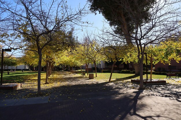 Universidade Estadual de San Jose, Califórnia