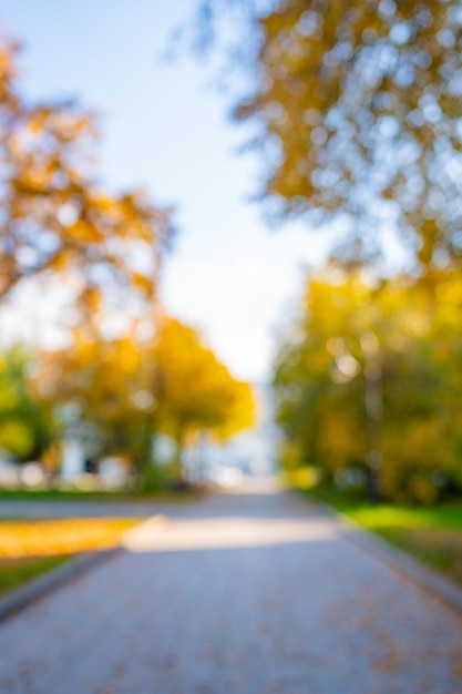 Foto unklarer hintergrund des parks im herbst, helle herbstbäume mit fallenden gelben blättern im park