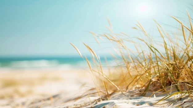 Unklarer Strand mit Gras, das aus dem Sand wächst