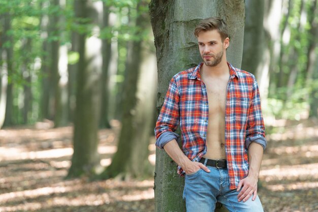 Unrasierter lumbersexueller Mann im aufgeknöpften Holzfällerhemd-Waldhintergrund-Kopienraum