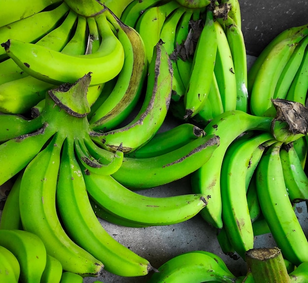 Unreife Bananen im Dschungel hautnah. Eine Gruppe grüner Bananen auf einem Bananenbaum. Bananenplantagen.