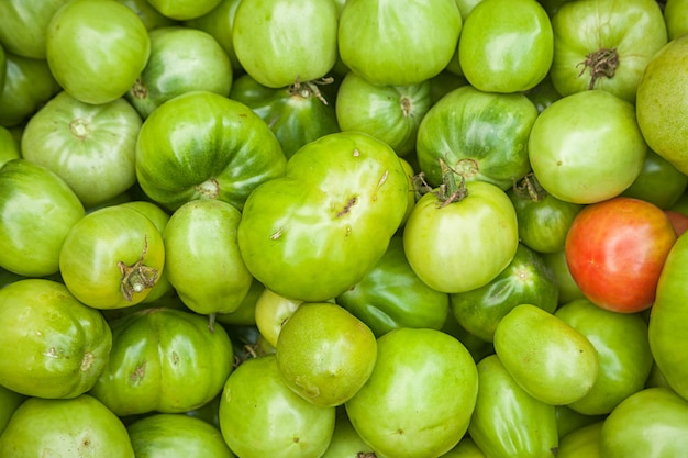 Unreife Tomaten von grüner Farbe