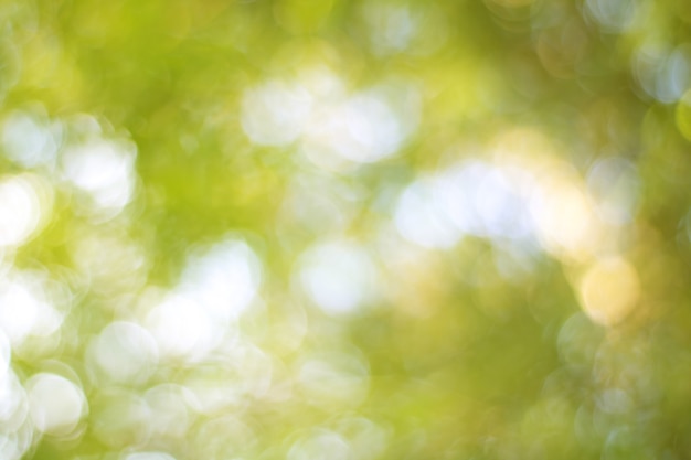 Unschärfe von Baum-Blättern für Naturhintergrund