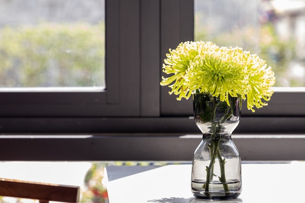 Unscharfe schöne grüne Chrysantheme blüht Blumenstrauß im Glasvase auf dem Tisch.