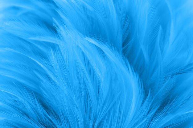 Unscharfe Vogelhühnerfederbeschaffenheit für Hintergrund, Fantasie, Abstrakte, weiche Farbe des Kunstdesigns.