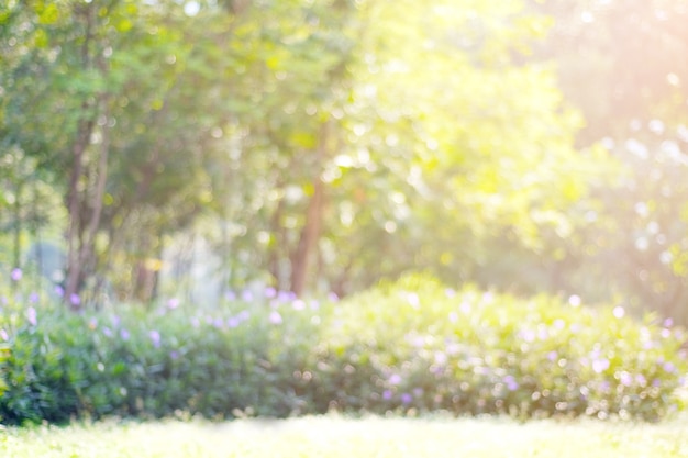 Unscharfer Park mit bokeh Licht, Naturhintergrund