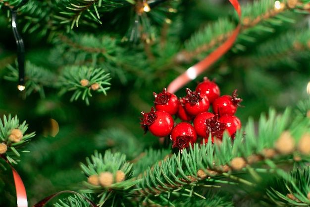 Unscharfer Weihnachtsfichtenzweigbeschaffenheitshintergrund