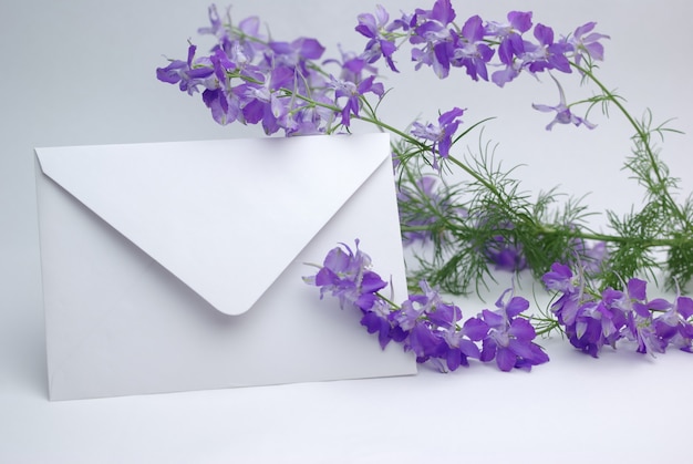 Unsignierter Umschlag gegen violette Consolida Regalis Blumen