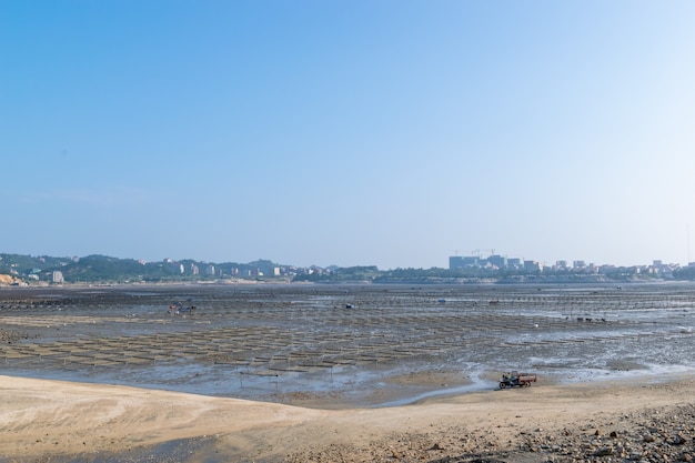 Unter blauem Himmel die Linien und Texturen von Bambusflößen und Seilen in der Algenfarm am Strand