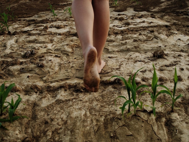 Foto unterer teil einer frau, die auf dem feld geht