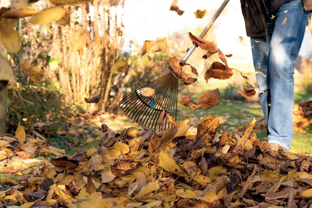 Foto unterer teil einer frau mit pilzen auf der straße im herbst