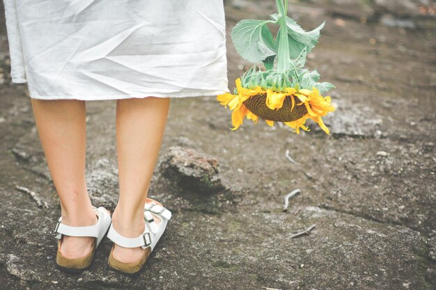 Foto unterer teil einer frau mit sonnenblumen, die auf dem feld steht