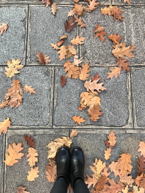 Foto unterer teil einer person, die im herbst auf ahornblättern steht