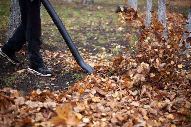 Foto unterer teil einer person, die im herbst auf dem feld steht