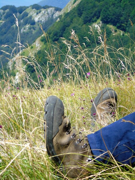 Foto unterer teil eines mannes, der sich im wald entspannt