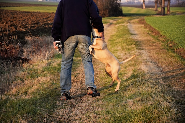 Unterer Teil eines Mannes mit Hund auf dem Feld