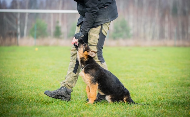 Foto unterer teil eines mannes mit hund auf dem feld