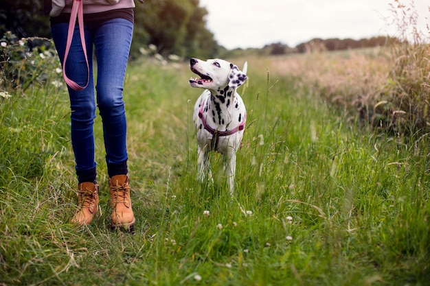 Foto unterer teil eines mannes mit hund auf dem feld