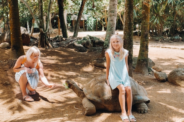 Unterhaltsame Aktivitäten auf Mauritius. Familie füttert Riesenschildkröte im Zoo der Insel Mauritius.