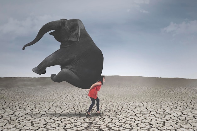Unternehmerin mit Elefanten auf trockenem Boden