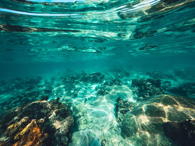 Unterwasser am Strand der Insel