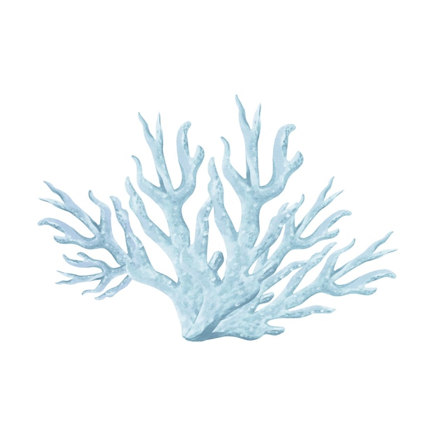 Unterwasser blau-grau Korallen handgezeichnete Aquarell-Illustration isoliertes ozeanisches Riff