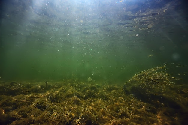 Unterwasser-Süßwasser grüner Hintergrund mit Sonnenstrahlen unter Wasser