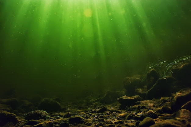 Unterwasser-Süßwasser grüner Hintergrund mit Sonnenstrahlen unter Wasser