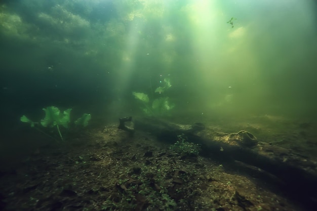 Unterwasser-Süßwasser-Grünlandschaft / Unterwasserlandschaft des Seeökosystems, Algen, grünes Wasser, Süßwasser