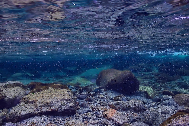 unterwasser-süßwasserlandschaft, bergsee-ökosystemhintergrund im sommer, unterwasseransicht