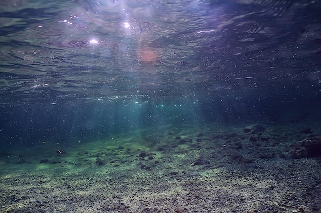 unterwasser-süßwasserlandschaft, bergsee-ökosystemhintergrund im sommer, unterwasseransicht