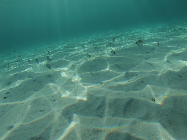 Unterwasserblick auf das transparente Meer im Süden Sardiniens