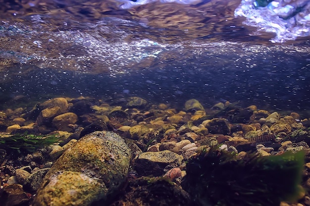 Unterwassergebirgsklarer Fluss / Unterwasserfoto in einem Süßwasserfluss, schnelle Strömung, Luftblasen durch Wasser, Unterwasserökosystemlandschaft