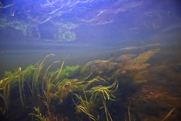 Unterwassergebirgsklarer Fluss / Unterwasserfoto in einem Süßwasserfluss, schnelle Strömung, Luftblasen durch Wasser, Unterwasserökosystemlandschaft