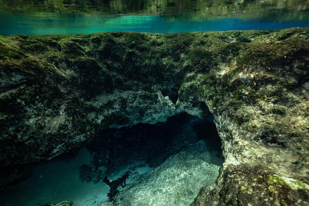 Unterwasserhöhlenformation Amerikanischer Naturhintergrund