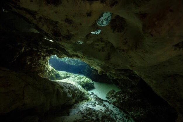 Unterwasserhöhlenformation Amerikanischer Naturhintergrund