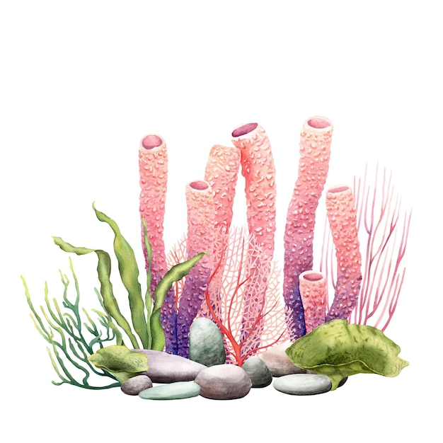 Unterwasserkomposition mit Korallenriffpflanzen und Kieselsteinen Aquarellillustration isoliert auf Weiß für ClipArt-Karten